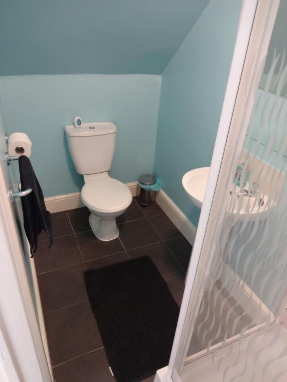 a bathroom with a toilet and a sink at Travellers Rest Motel in Ingoldmells