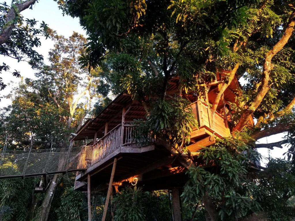 Zahrada ubytování Les Bananes Vertes Ecolodges