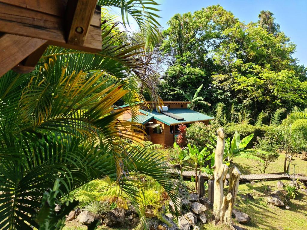 Zahrada ubytování Les Bananes Vertes Ecolodges