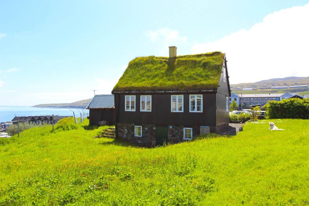 una vecchia casa con un tetto in erba su un campo verde di Traditional Faroese house in Tórshavns city center a Tórshavn