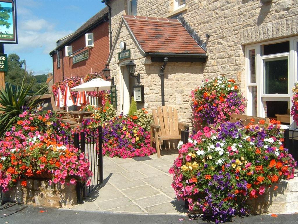 a bunch of flowers in front of a building at The Walnut Tree Inn Mere in Mere