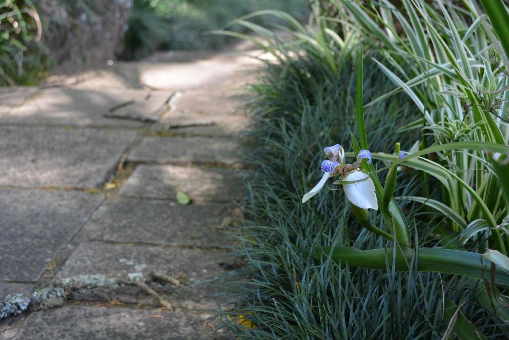  LOCAR-IN GRAMADO Residencial Maranello