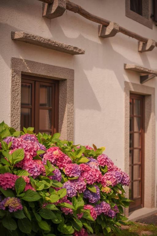 a bush of pink flowers in front of a building at Tmbin's barn - nature, horses, family in Sežana