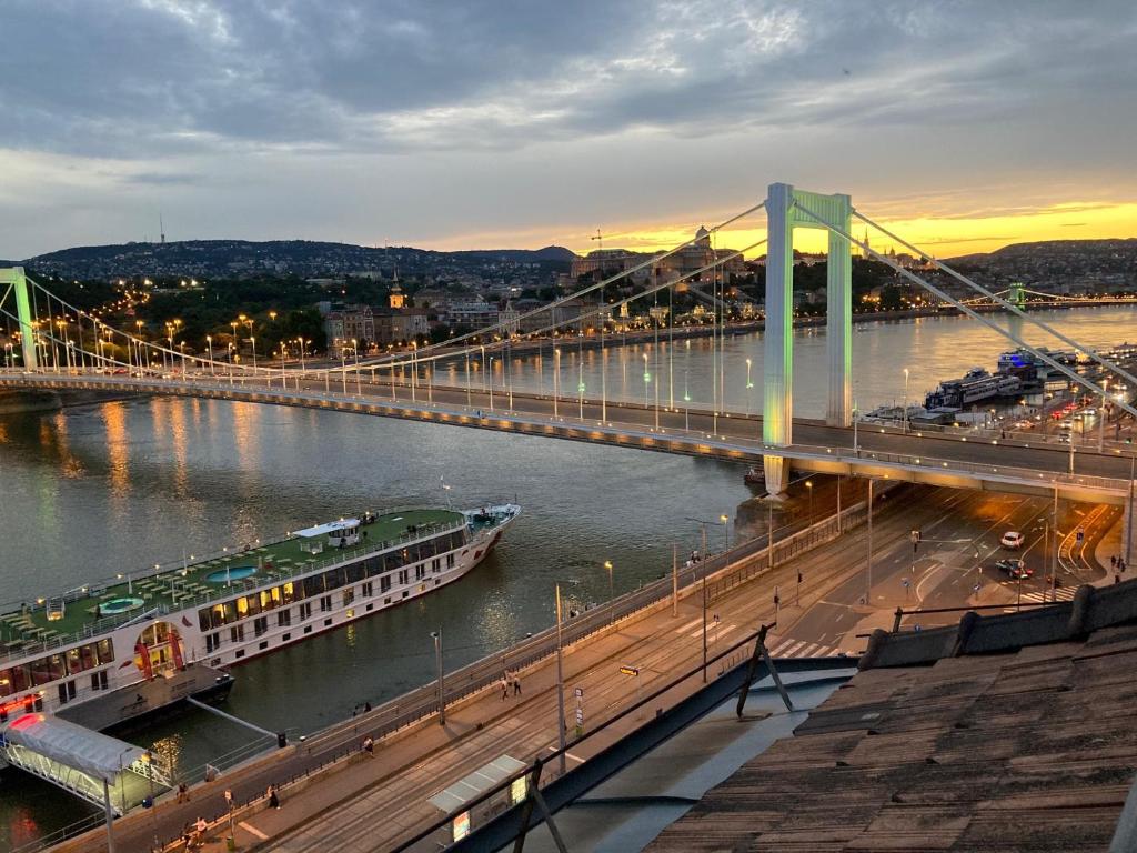 a bridge over a river with a cruise ship at Riverside flat with King Castle view in Budapest