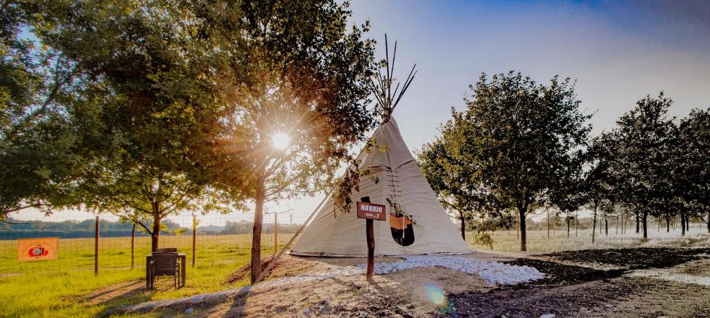 a tent in the middle of a field with trees at Residence Safari Resort - Teepee Village in Borovany