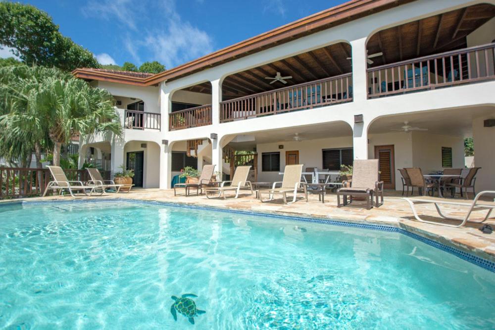 a large swimming pool with chairs and a house at LOBLOLLY in Virgin Gorda