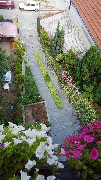 Zahrada ubytování Vila Sentić