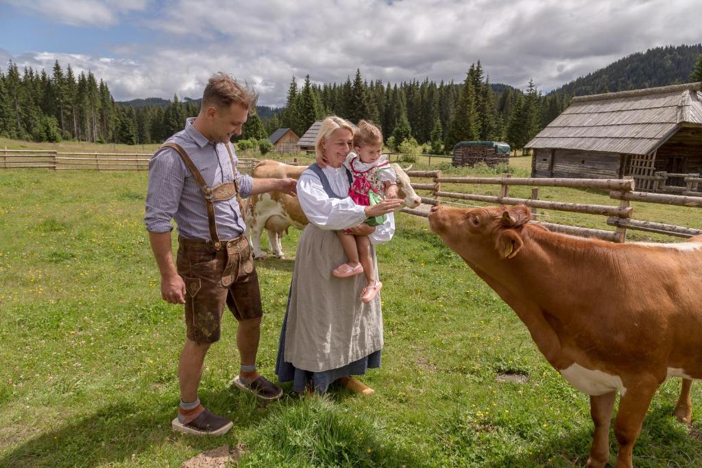 Zvířata v prázdninového domu nebo okolí