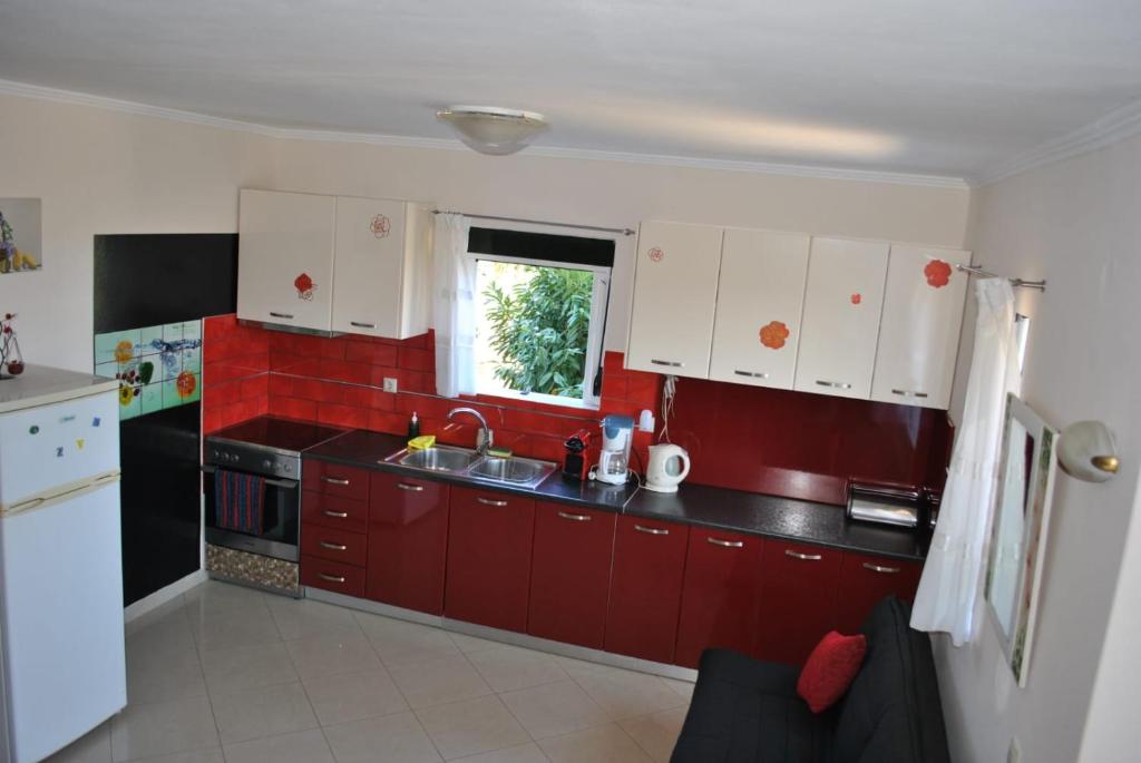 Kuchnia lub aneks kuchenny w obiekcie Monika Lefkada