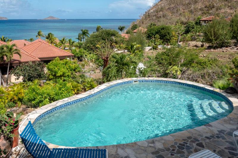 a swimming pool with a view of the ocean at VILLA DEL SOLE in Virgin Gorda