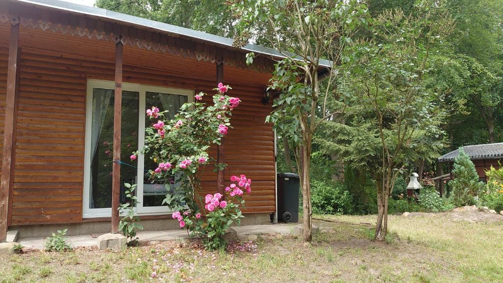 a small house with pink flowers in front of it at Waldhaus Halvor in Zichtau