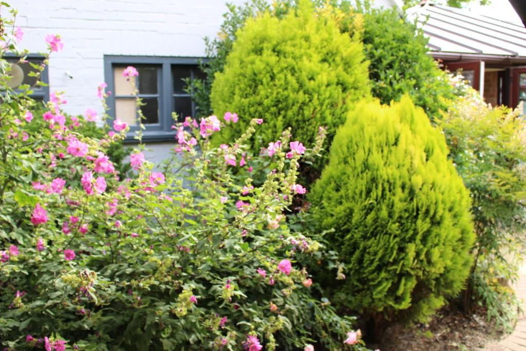 The Lord Byron Inn - Resim 20