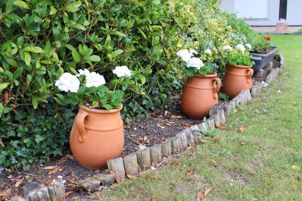 The Lord Byron Inn - Resim 19