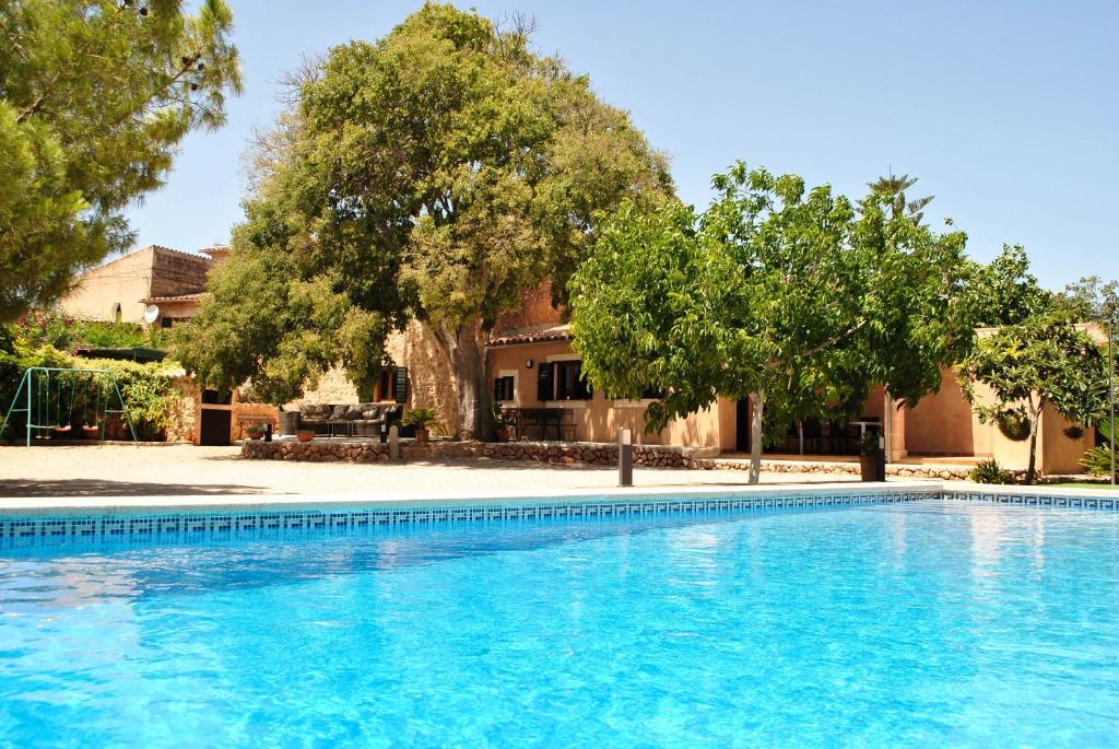a swimming pool with trees and a house at 7 Xemeneies in Santa Maria del Camí