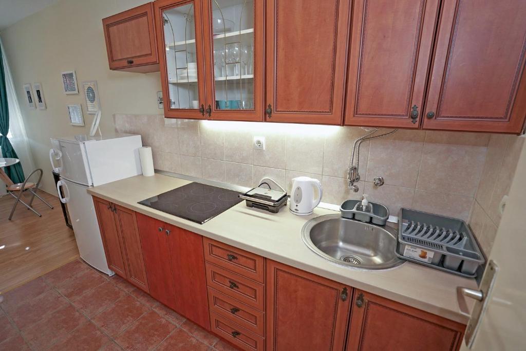 Kuchyň nebo kuchyňský kout v ubytování Apartment Elvis