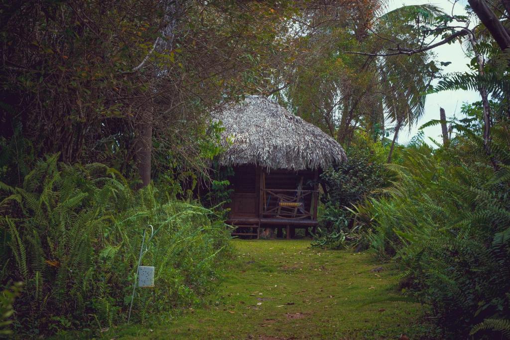 Zahrada ubytování Aventura Rincon Ecolodge