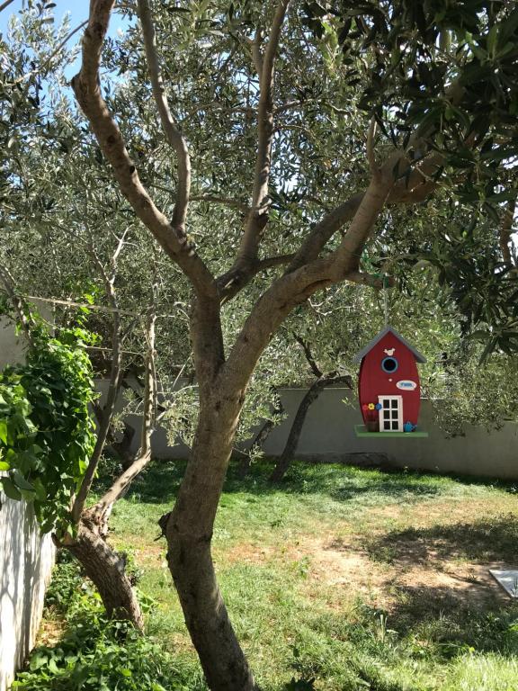 Zahrada ubytování Apartmani "Allegro"