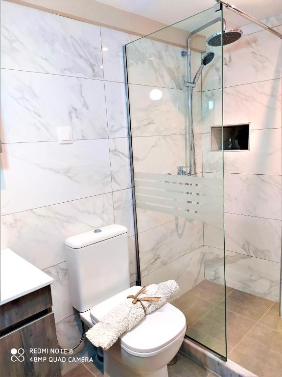W łazience znajduje się toaleta i przeszklony prysznic. w obiekcie Cofineta Apartment w Korfu
