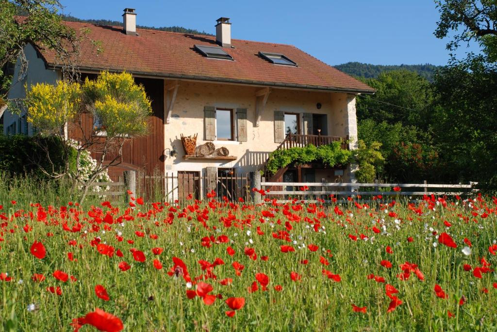 ein Feld voller roter Blumen vor einem Haus in der Unterkunft Entredigue in Divonne-les-Bains