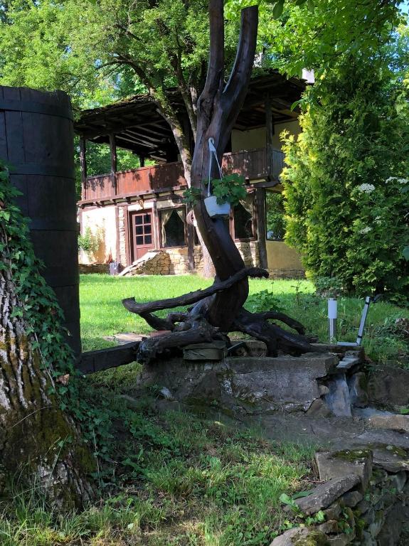 a tree sitting in the grass next to a building at Etnographic Houses in Dŭlbok Dol