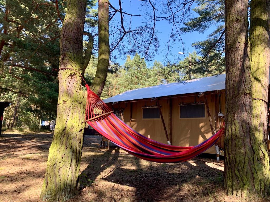 Zahrada ubytování Camp Bursztynowy Las