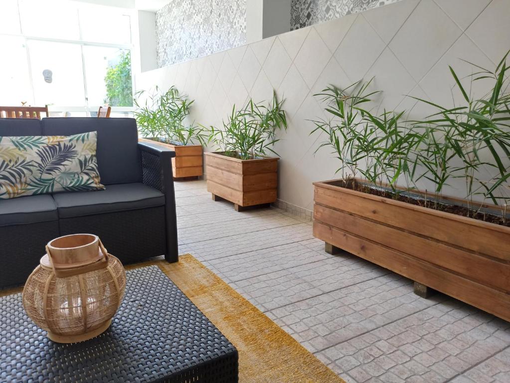 a living room with a couch and potted plants at House Fifteen in Horta