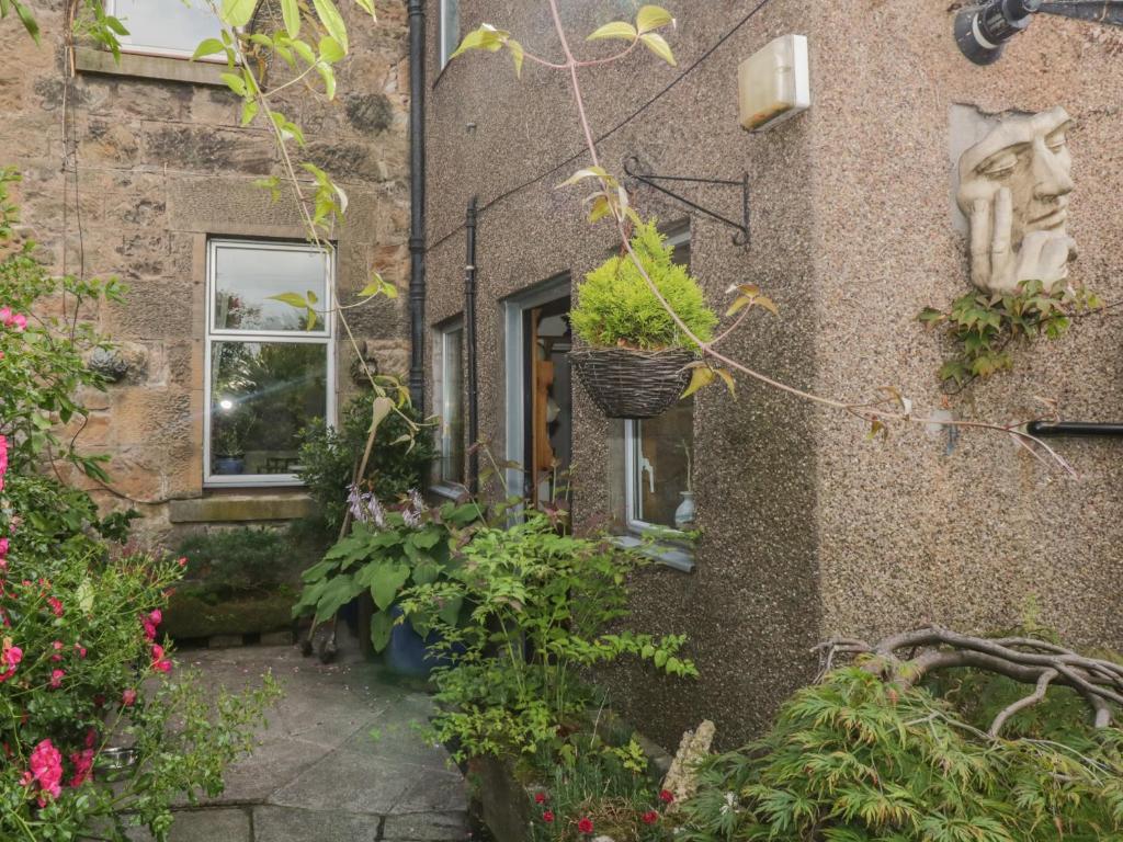 un bâtiment avec une bande de plantes sur son côté dans l'établissement 6 Ronald Place, à Stirling