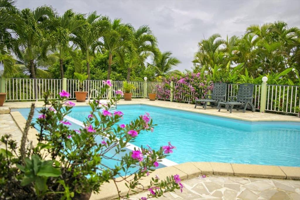 a swimming pool with two benches and palm trees at Le Domaine de Boisvin in Sainte-Anne