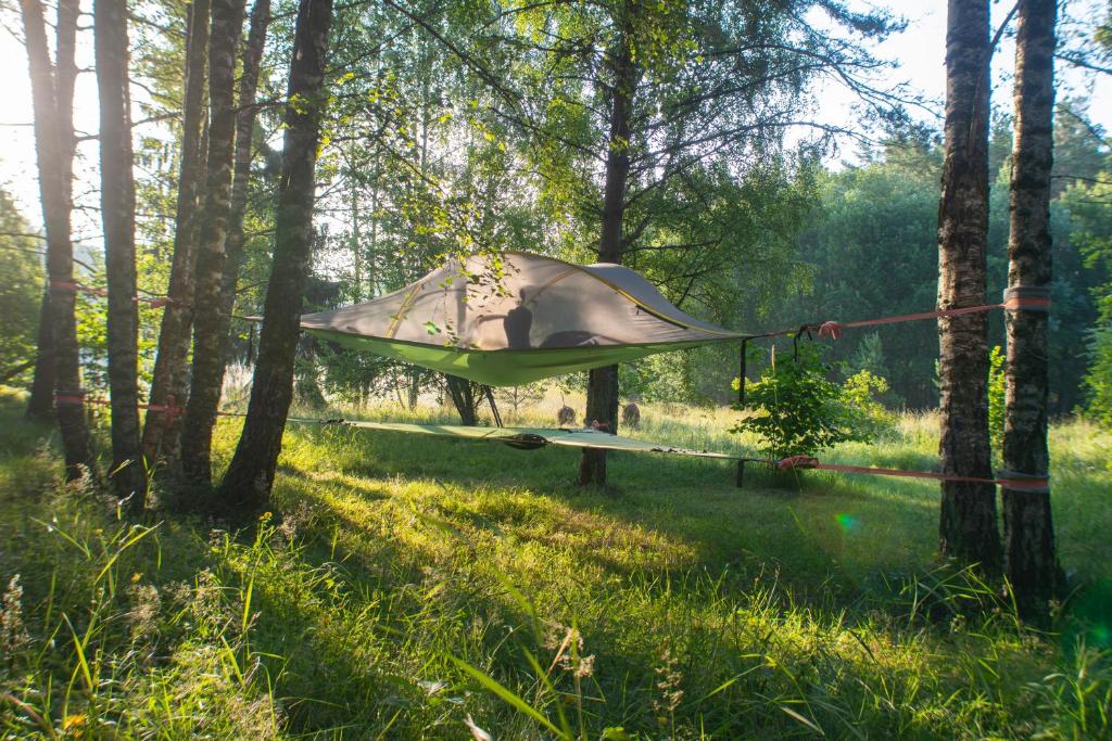 Κήπος έξω από το Naawa Nature Camp
