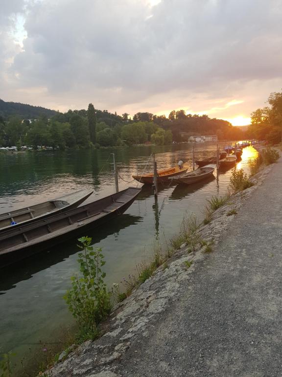 een groep boten aangemeerd in een dok op een rivier bij Zimmer Paradiso in Busingen am Hochrhein