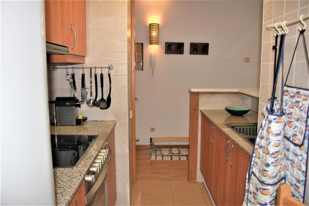 Kuchyň nebo kuchyňský kout v ubytování ÁLIGA CONFORT Vistas a pie de pistas