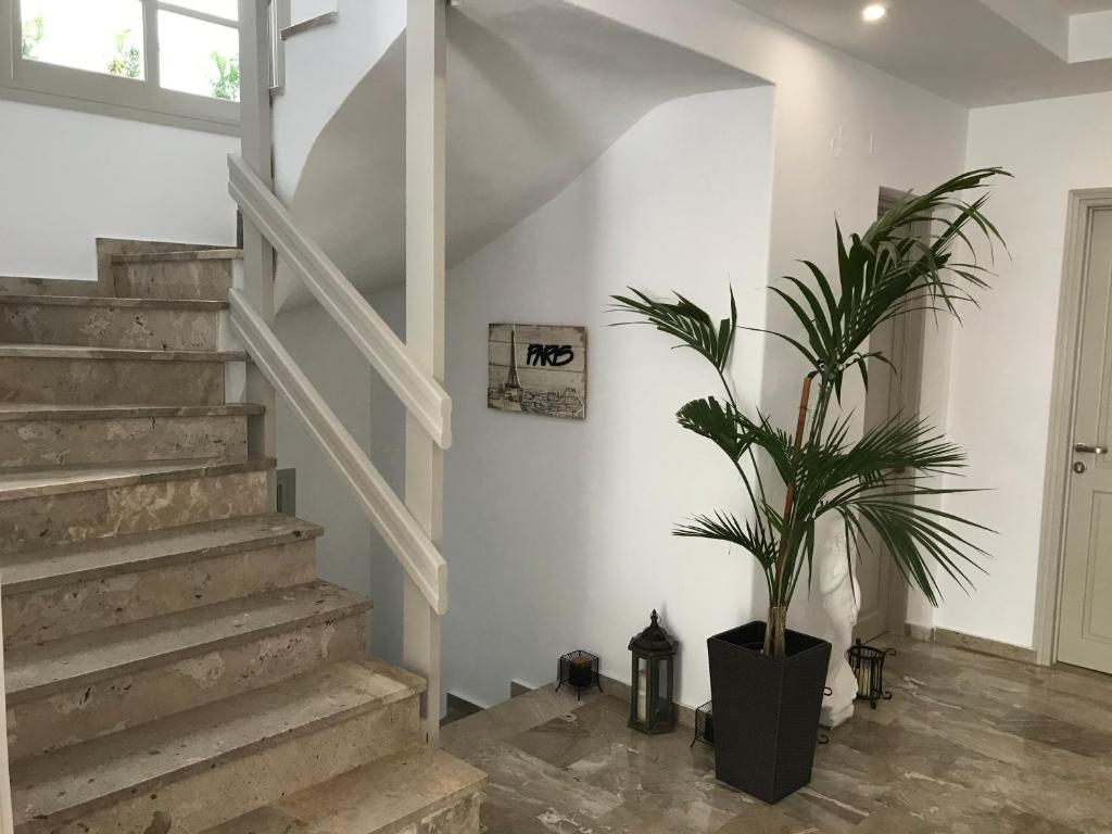 Fotografie z fotogalerie ubytování Vassiliki Rooms v destinaci Parikia