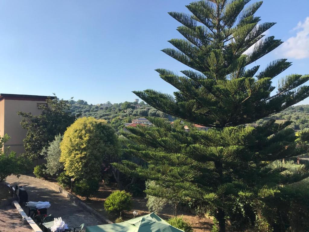 un pino en un jardín con una colina al fondo en Casa Vacanza I principini, en Paravati