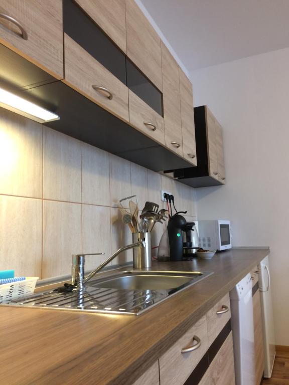 Kuchyň nebo kuchyňský kout v ubytování Apartmán Petra