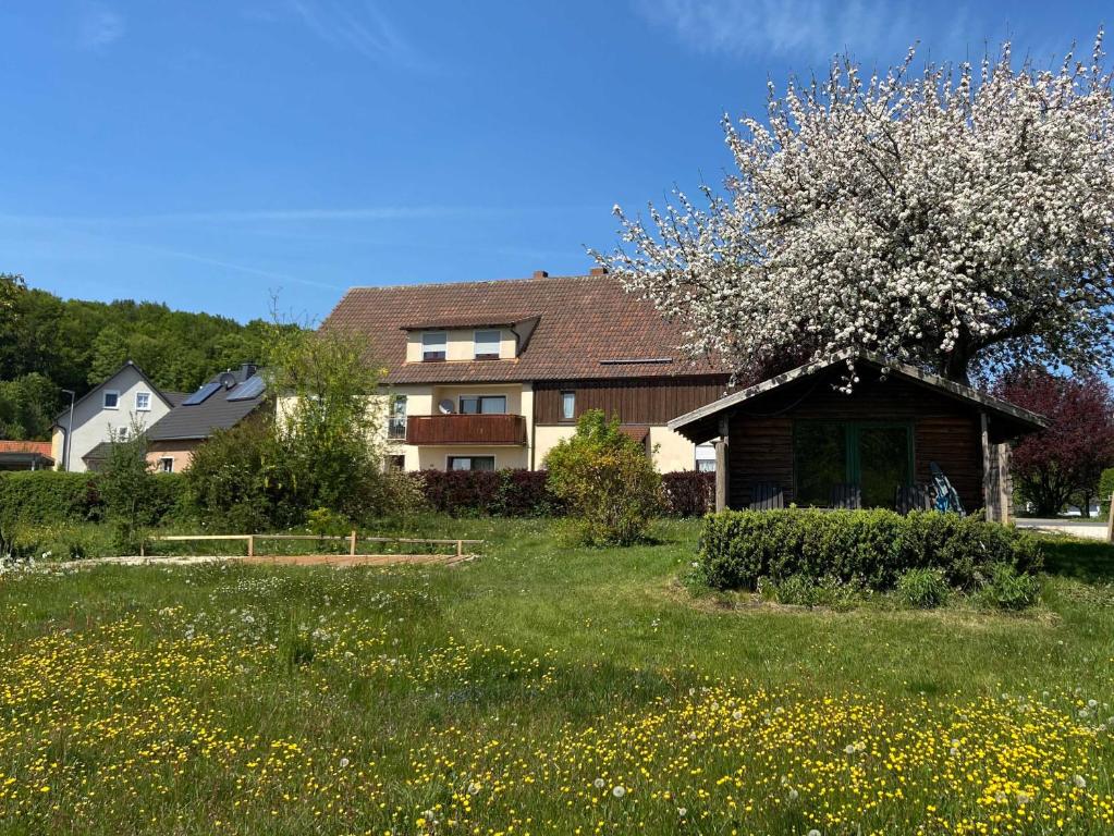 a house with a flowering tree in a field of flowers at Ferienwohnung Woelfel in Gößweinstein