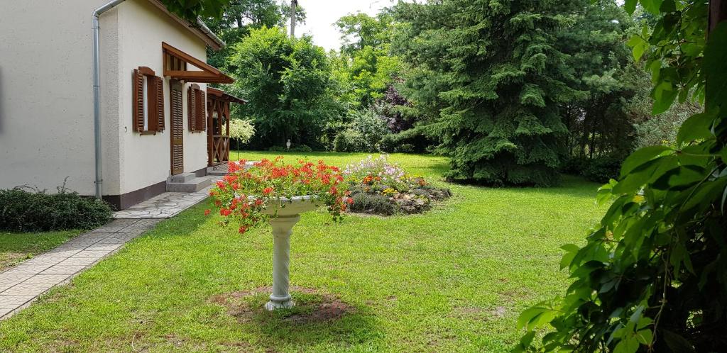un jardín con una maceta con flores en la hierba en Villa Jare I, en Nyíregyháza