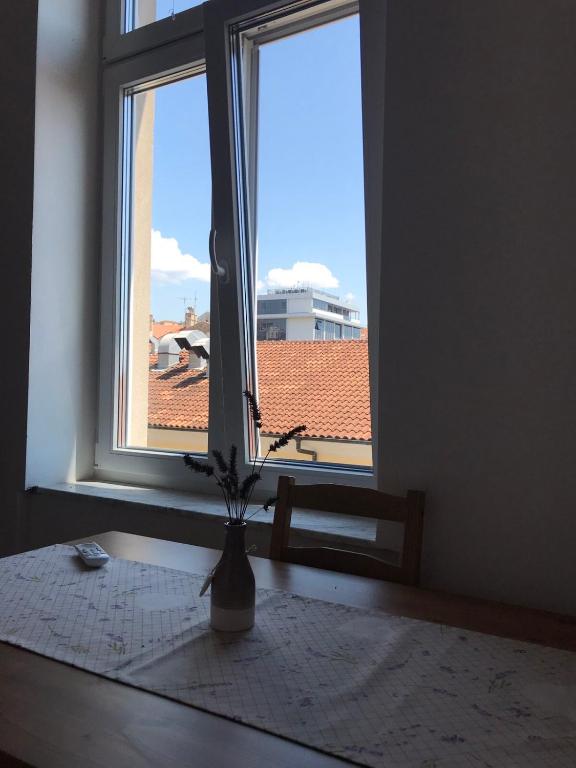 STUDIO APARTMANI PAOLA - 一居室公寓