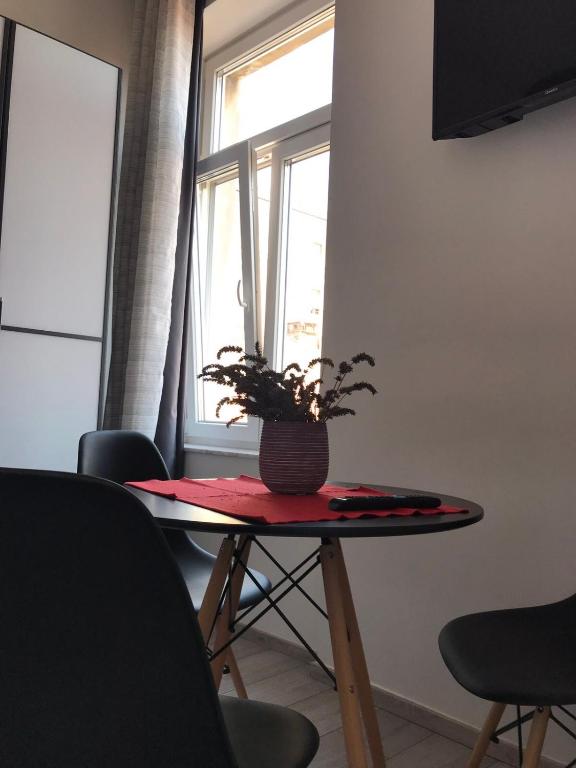 STUDIO APARTMANI PAOLA - 9