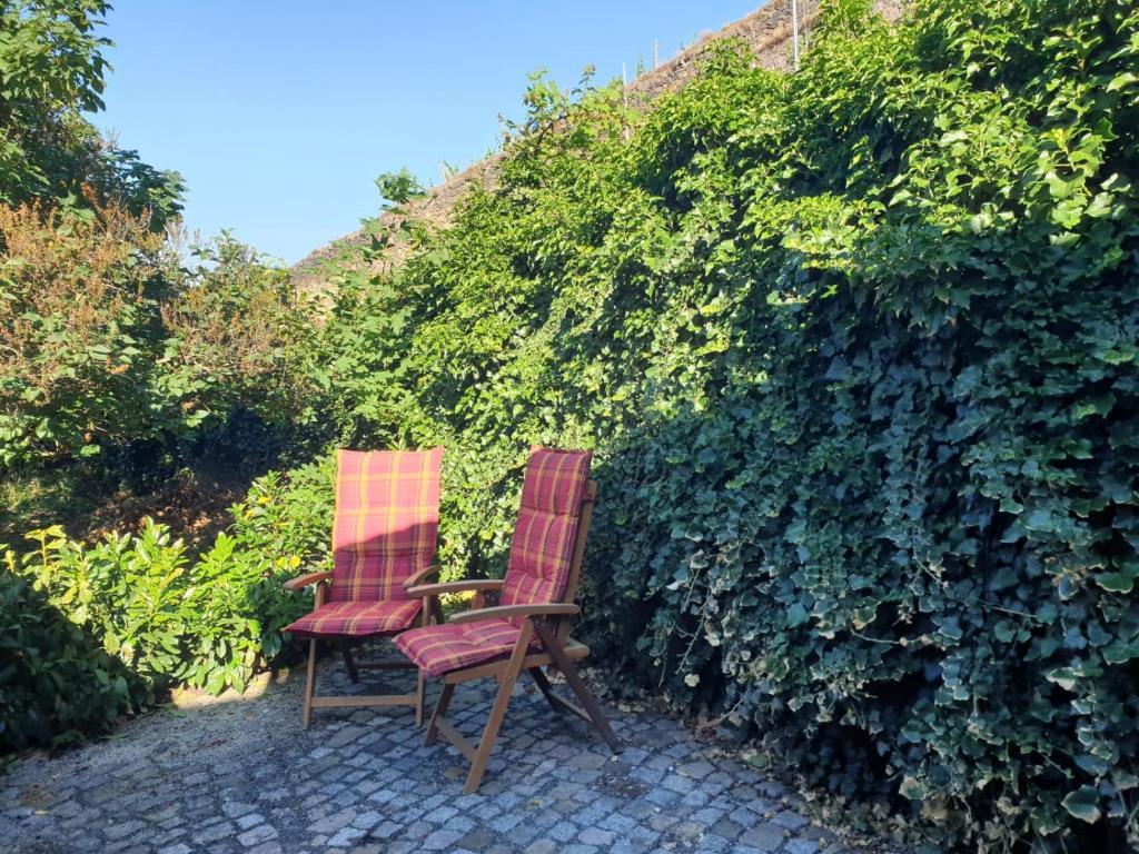 Zahrada ubytování Unterkunft am Weinberg