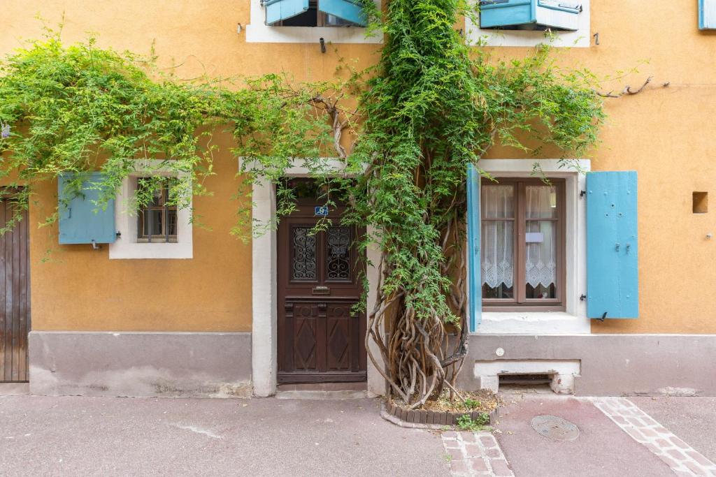 un bâtiment avec une porte et un arbre en face de celui-ci dans l'établissement Travel Homes -The Cigogne, quiet & heart of Colmar, à Colmar