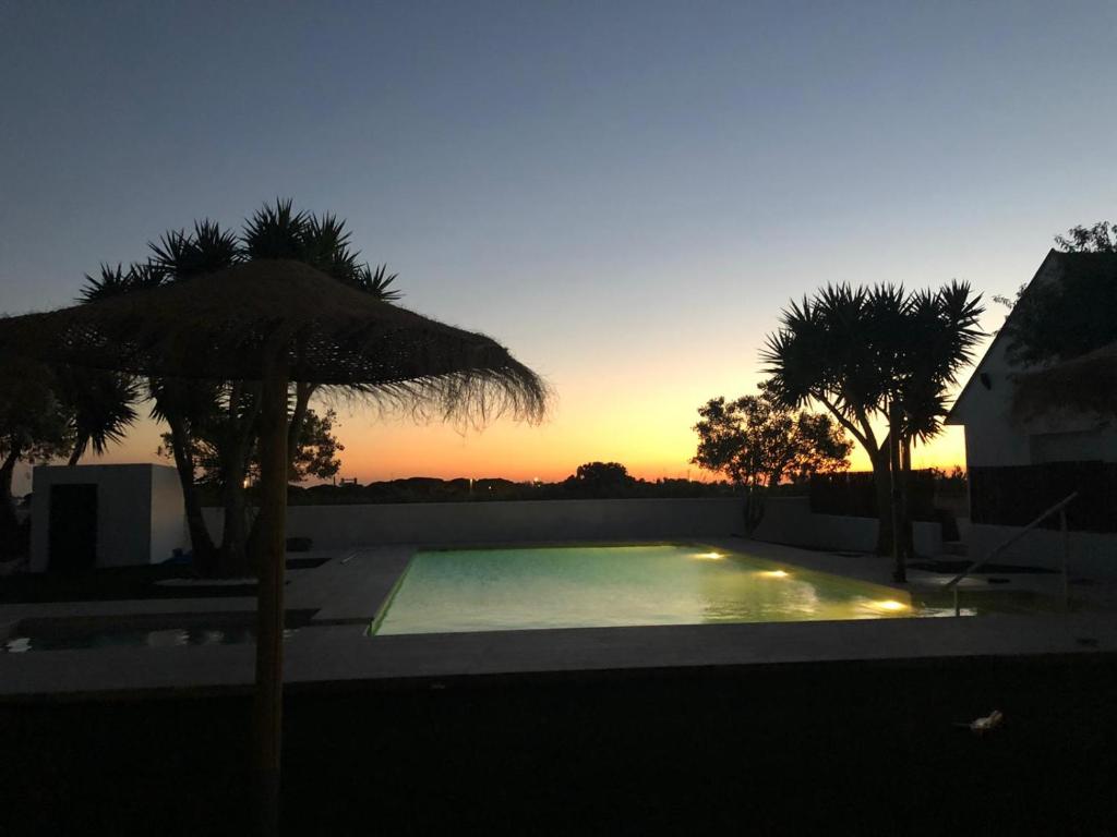 an empty swimming pool with an umbrella and palm trees at Villas Santa Ana in Conil de la Frontera