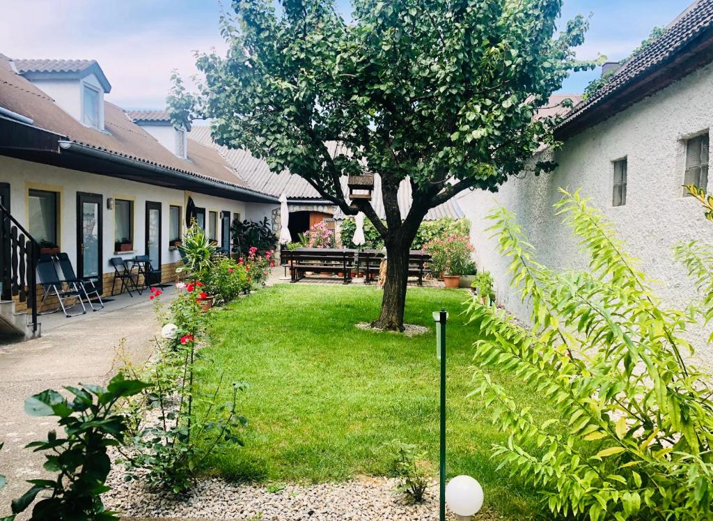 伊爾米茨的住宿－Privatzimmer Haider，树,长凳和树的院子