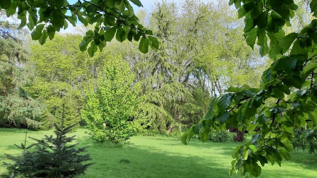 Gallery image of Levaltipis in Saint Gatien des Bois