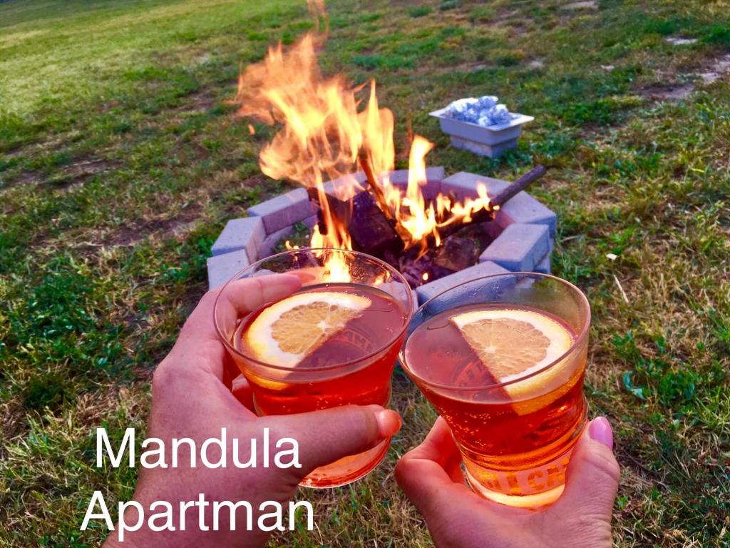 Fotografie z fotogalerie ubytování Mandula Apartman v destinaci Cegléd