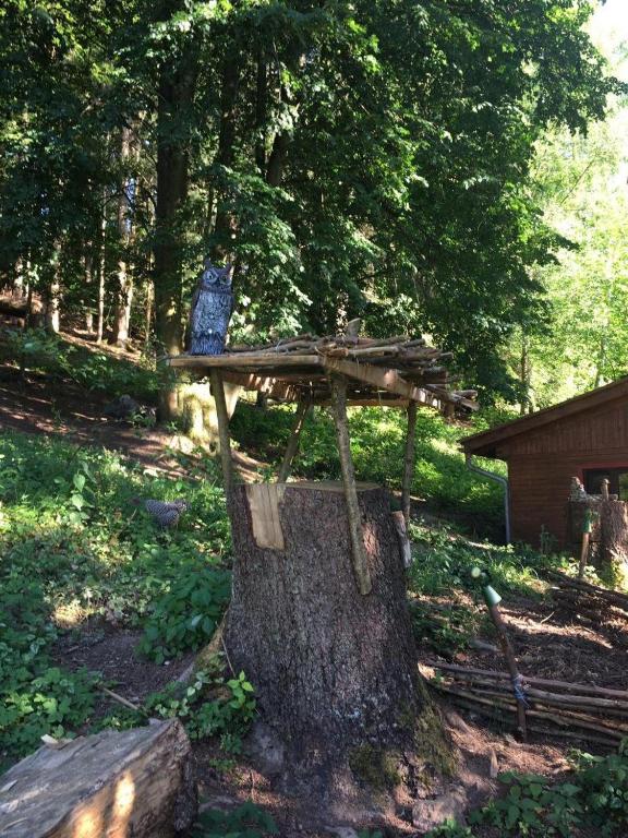 Zahrada ubytování Waldnest Odenwald