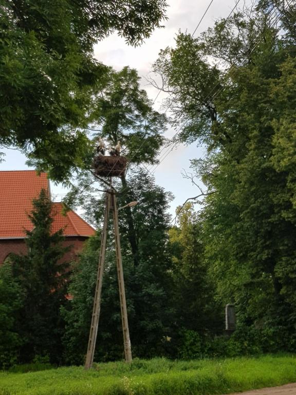 Vonkajšia záhrada v ubytovaní Apartament Wiejska Sielanka