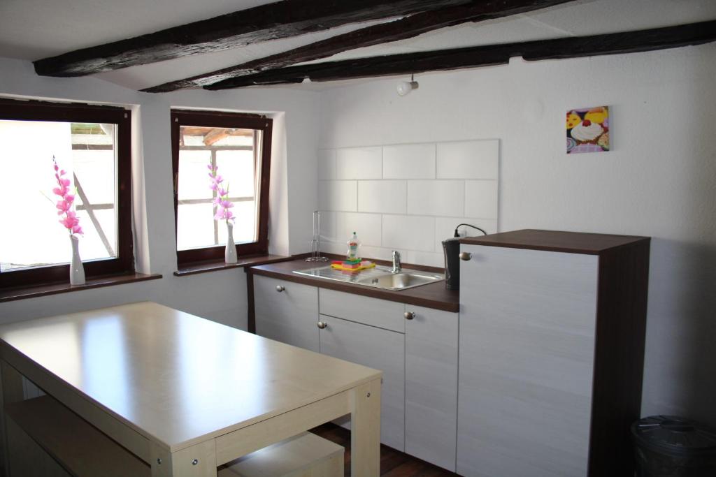 Kuchyň nebo kuchyňský kout v ubytování FerienwohnungQuedlinburg
