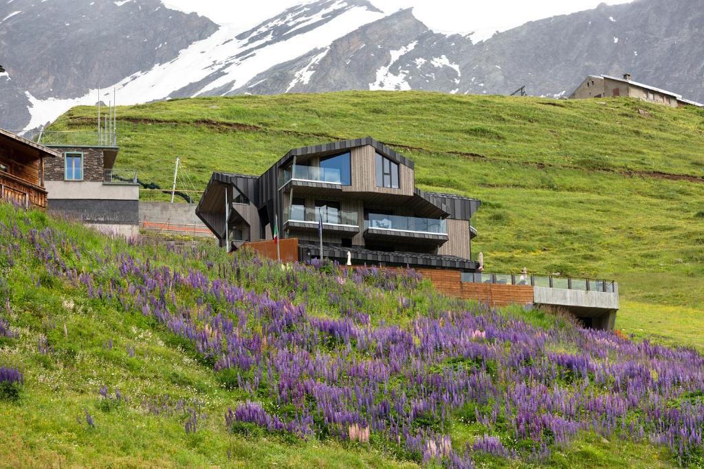 a house on the side of a hill with purple flowers at Bergman Mountain Hotel in Breuil-Cervinia