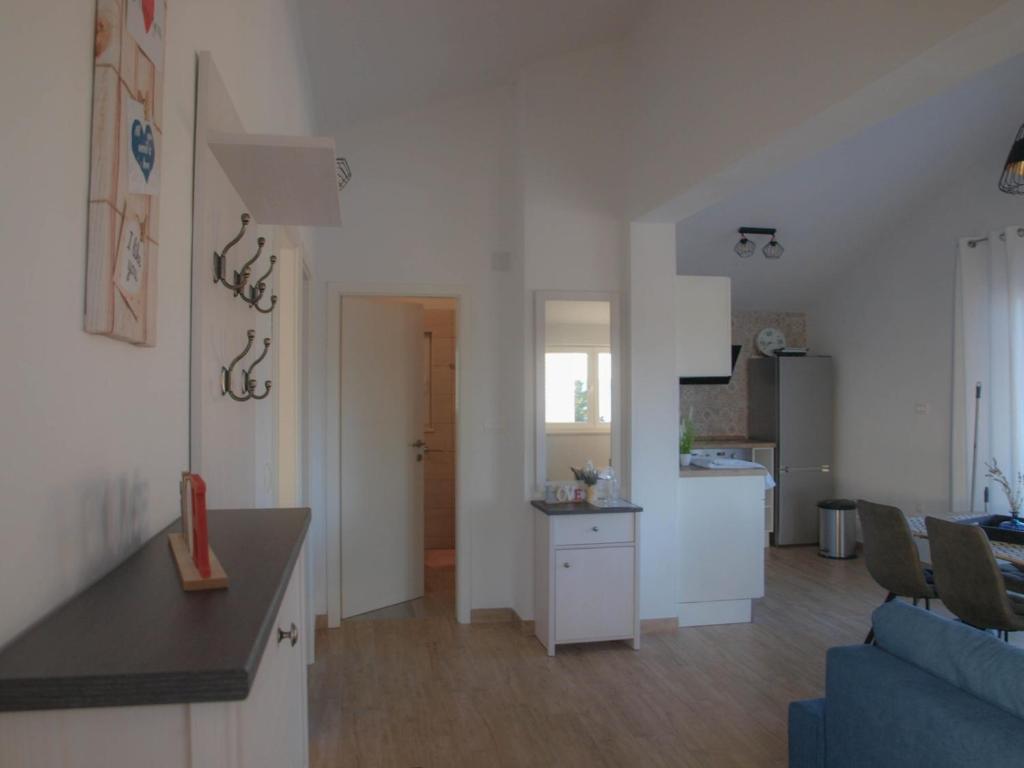 Kuchyň nebo kuchyňský kout v ubytování Apartmani Goga 2