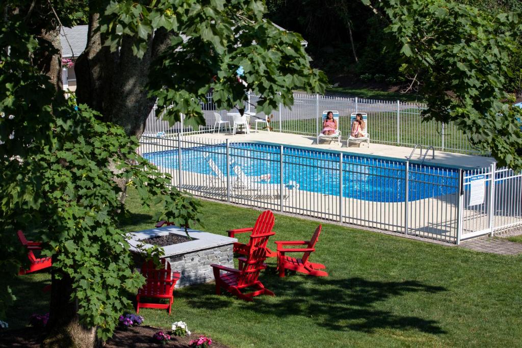 East Dennis的住宿－Sesuit Harbor House，两只狗坐在游泳池旁,游泳池边摆放着红色椅子